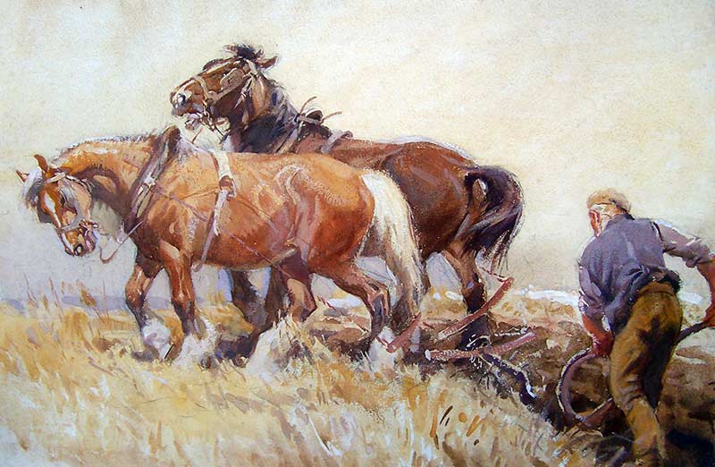 Horses Plough, Soper Collection