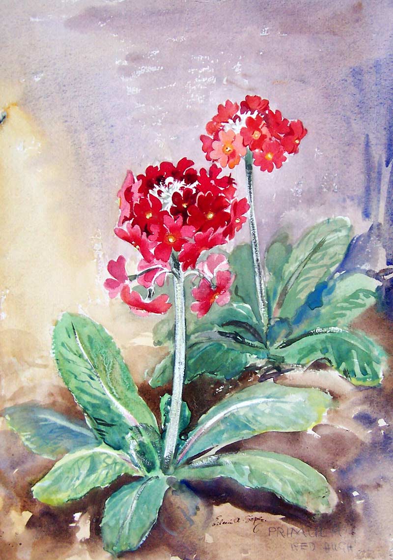 Red Flowers, The Soper Collection