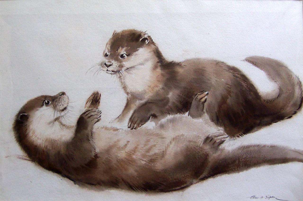 Two Otter Cubs at Play - Eileen Soper