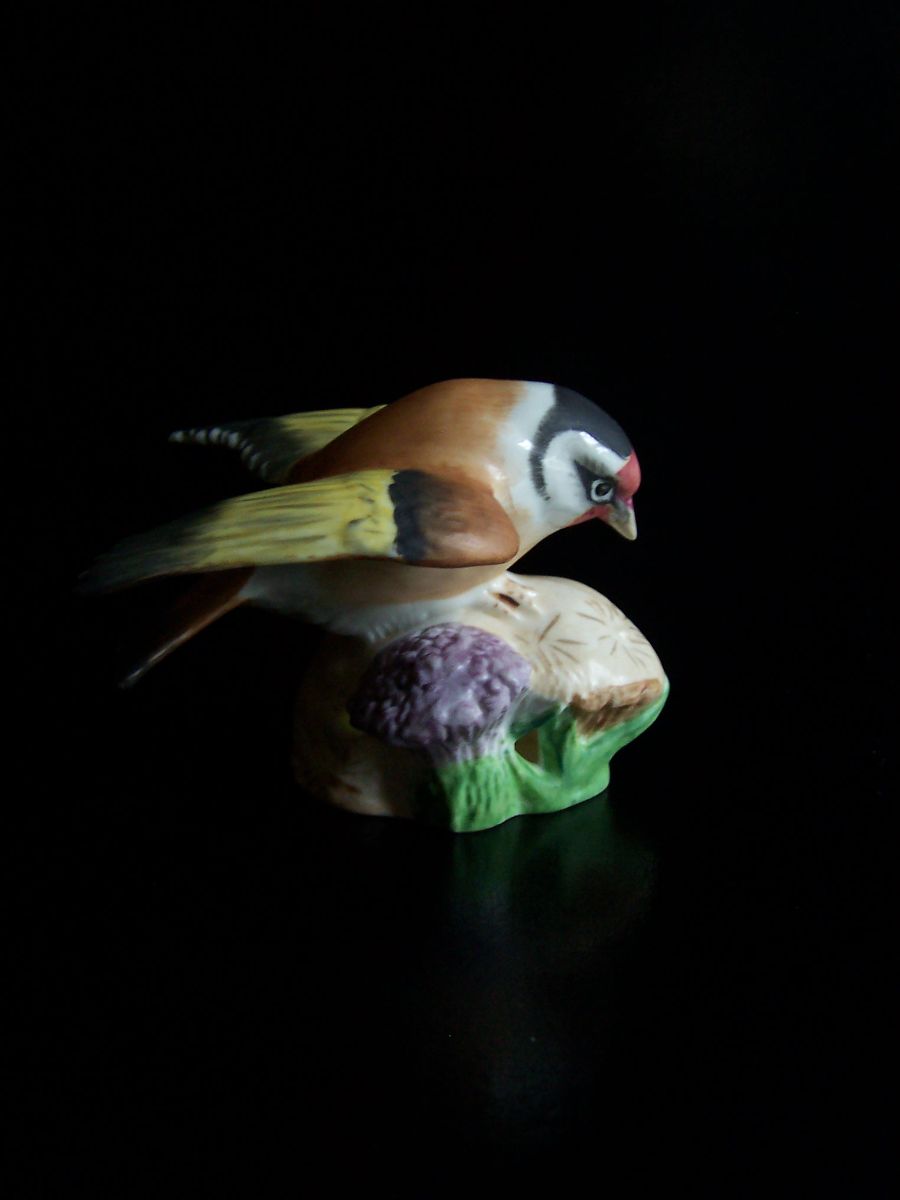 Goldfinch – Eva Soper